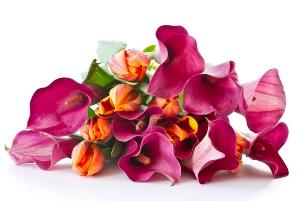 Kytice lilie calla a tulipány — Stock fotografie