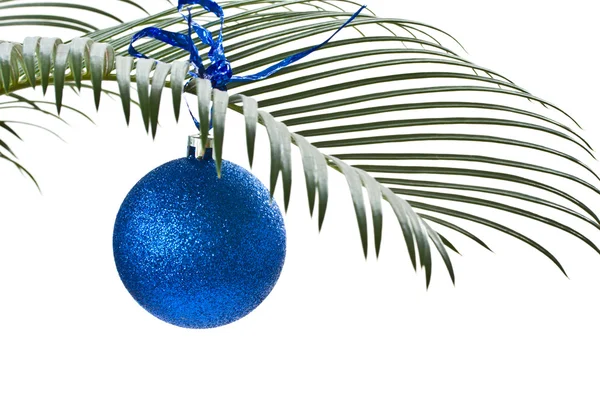 O nouă minge albastră pe ramura palmei — Fotografie, imagine de stoc