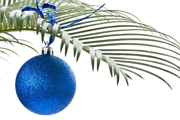 Nova bola azul no ramo da palma — Fotografia de Stock