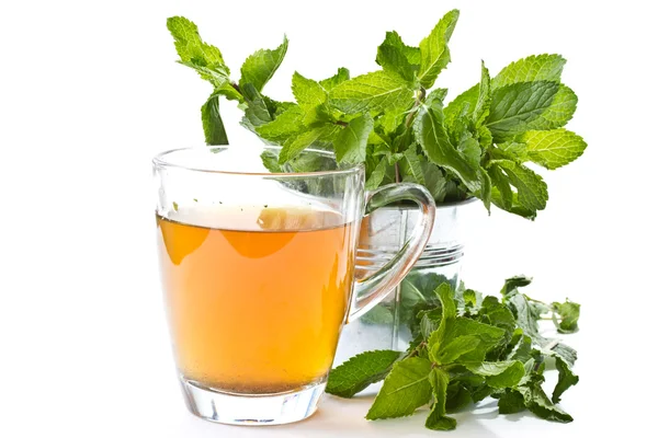 Zöld tea mentával — Stock Fotó