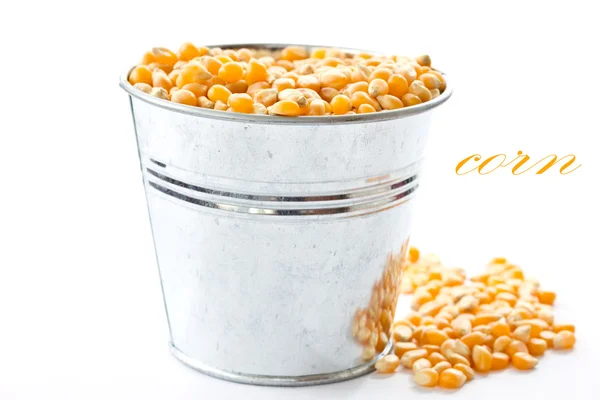 Corn in a bucket — Stock Photo, Image
