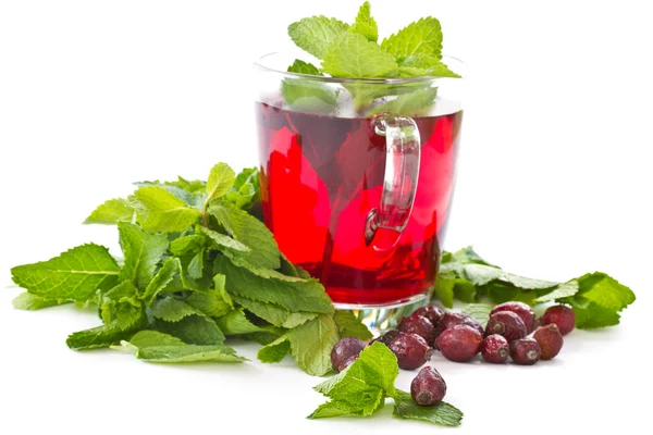 Rosehip tea and mint — Stock Photo, Image
