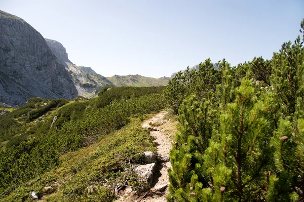 Cesta k túrám Alp — Stock fotografie
