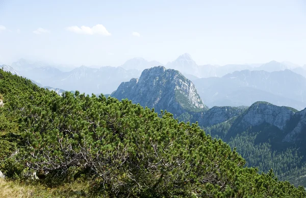 Carinthia Yaylası — Stok fotoğraf