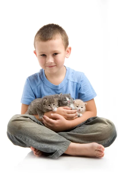 The little boy in blue T-shirt with a fluffy kitten. Photography in the stu — Zdjęcie stockowe