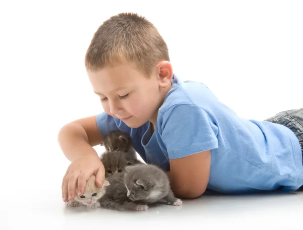 里与一只毛茸茸的小猫的蓝色 t 恤的小男孩。摄影在斯图 — 图库照片