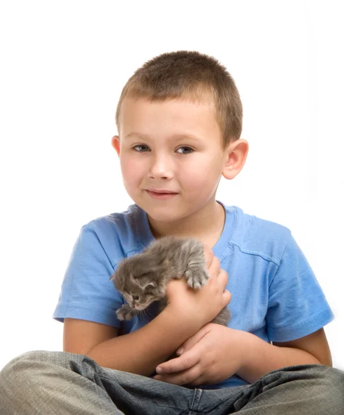 stock image The little boy in blue T-shirt with a fluffy kitten. Photography in the stu