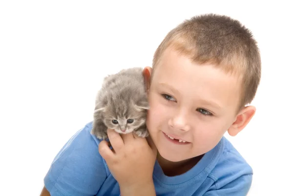 Het kleine jongetje in blauw t-shirt met een pluizige kitten. fotografie in de stu — Stockfoto