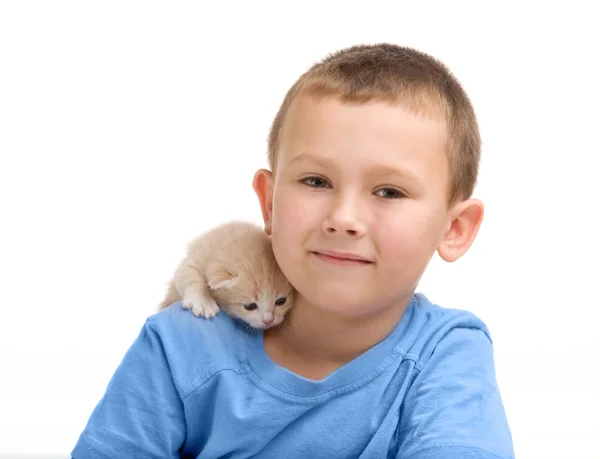 里与一只毛茸茸的小猫的蓝色 t 恤的小男孩。摄影在斯图 — 图库照片