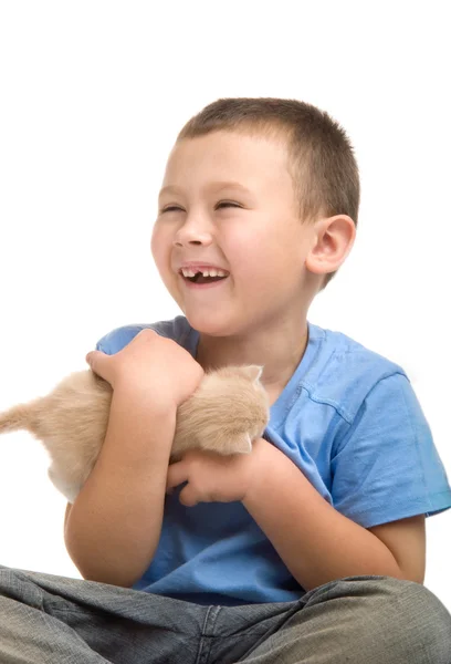 Маленький мальчик в голубой футболке с пушистым котенком. Оптимизм в стае — стоковое фото
