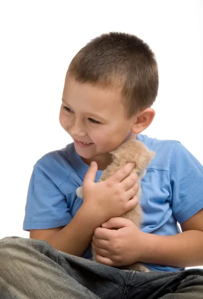 The little boy in blue T-shirt with a fluffy kitten. Photography in the stu — Stock Photo, Image