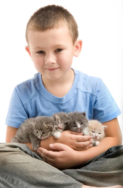 The little boy in blue T-shirt with a fluffy kitten. Photography in the stu — Zdjęcie stockowe