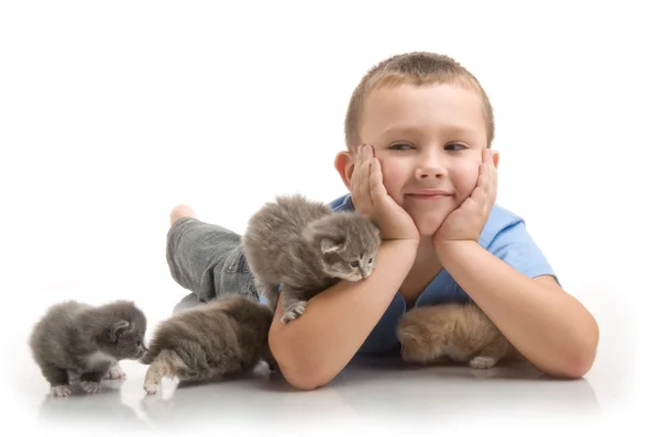 Маленький мальчик в голубой футболке с пушистым котенком. Оптимизм в стае — стоковое фото