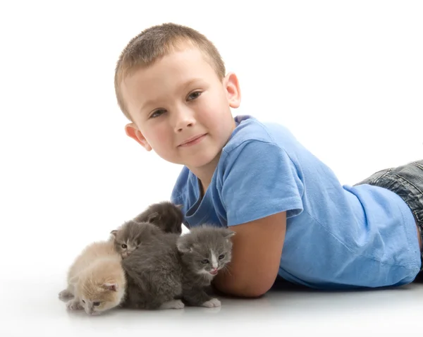 Le petit garçon en T-shirt bleu avec un chaton moelleux. Photographie dans le stu — Photo