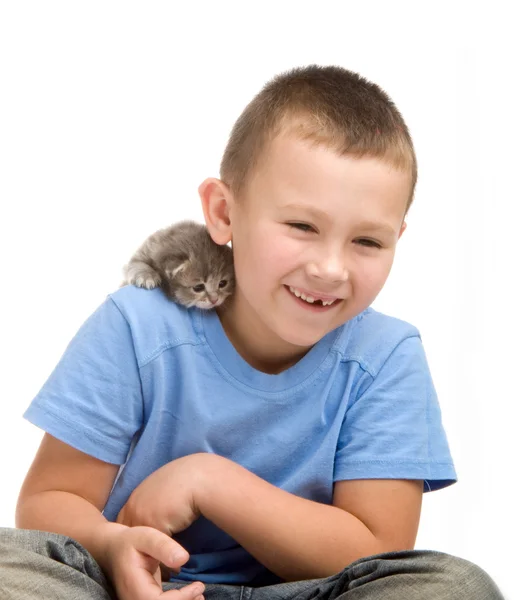 Le petit garçon en T-shirt bleu avec un chaton moelleux. Photographie dans le stu — Photo
