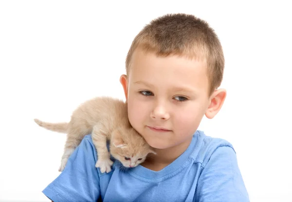 Το μικρό αγόρι σε μπλε μπλουζάκι με ένα αφράτο γατάκι. φωτογραφία σε το stu — Φωτογραφία Αρχείου