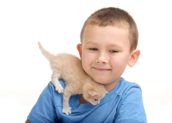 Το μικρό αγόρι σε μπλε μπλουζάκι με ένα αφράτο γατάκι. φωτογραφία σε το stu — Φωτογραφία Αρχείου
