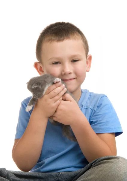 El niño de camiseta azul con un gatito esponjoso. Fotografía en el stu — Foto de Stock
