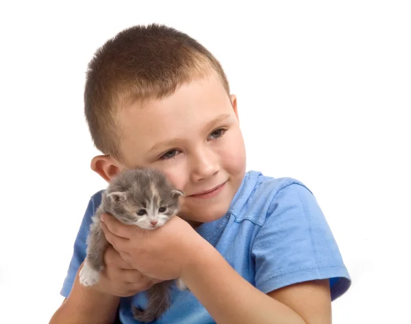 Mavi t-shirt kabarık kedi ile küçük çocuk. stu, Fotoğrafçılık — Stok fotoğraf