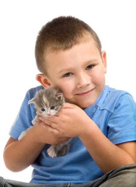 Malý chlapec v modré tričko s nadýchanými kotě. fotografie v stu — Stock fotografie