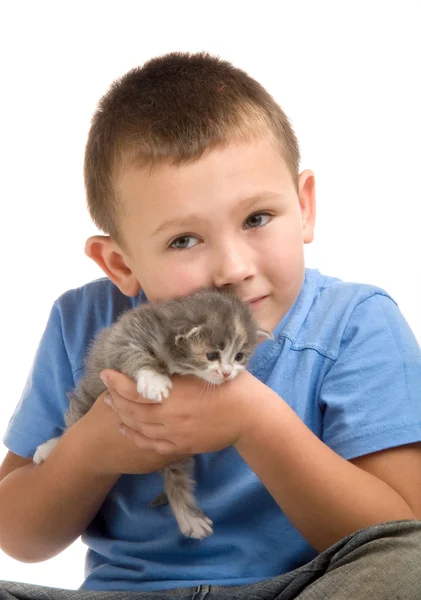 stock image The little boy in blue T-shirt with a fluffy kitten. Photography in the stu