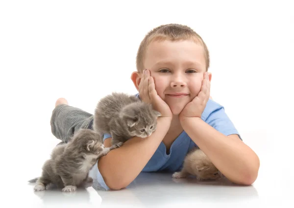 The little boy in blue T-shirt with a fluffy kitten. Photography in the stu Royalty Free Stock Images