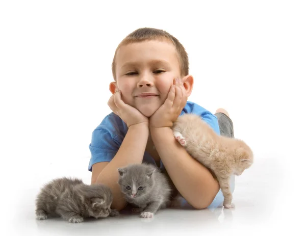 The little boy in blue T-shirt with a fluffy kitten. Photography in the stu Stock Picture
