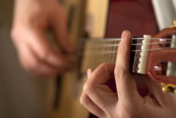 stock image The musician plays a guitar