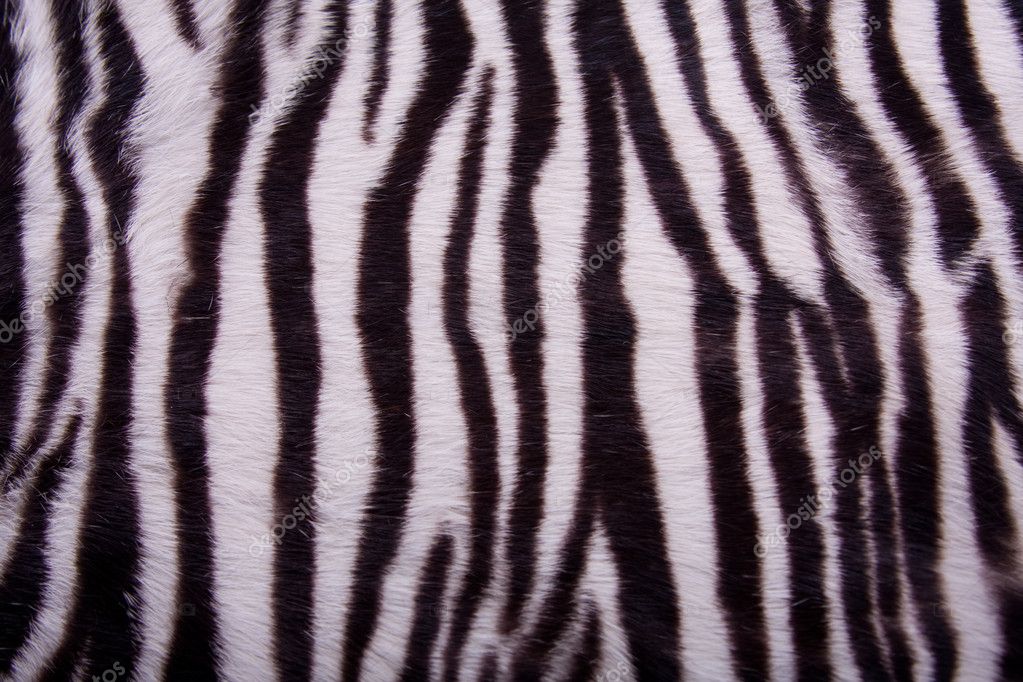 Striped Animal Fur Background — Stock Photo © bddigitalimages 7313892