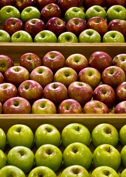 Apples In A Bin — Stock Photo, Image