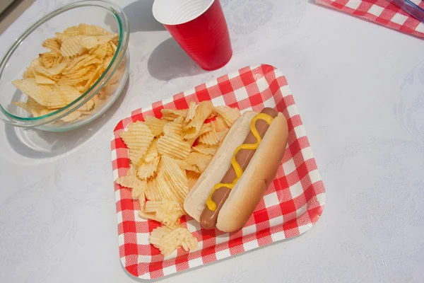 Hotdog de verão — Fotografia de Stock