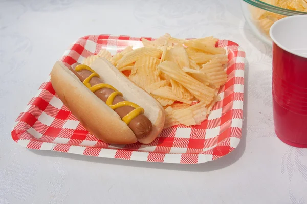 Καλοκαίρι hotdog — Φωτογραφία Αρχείου