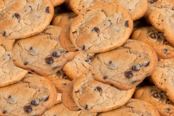 Many Chocolate Chip Cookies — Stock Photo, Image