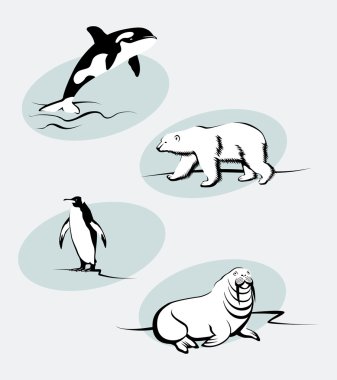 North Animals clipart