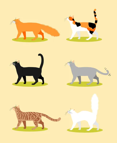 Колекція різнокольорових котів — стоковий вектор