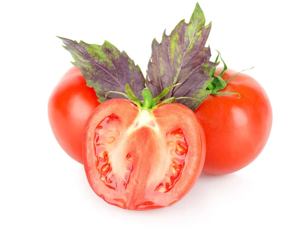 番茄、 罗勒 — 图库照片
