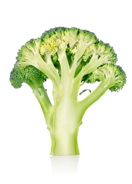 Brócolos maduros isolados — Fotografia de Stock