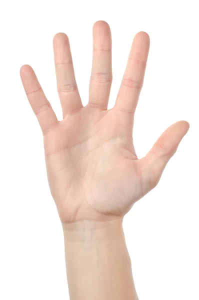 Insan eli izole — Stok fotoğraf