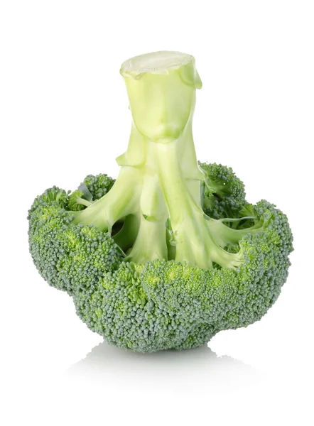 Broccoli isolated — Stock Photo, Image