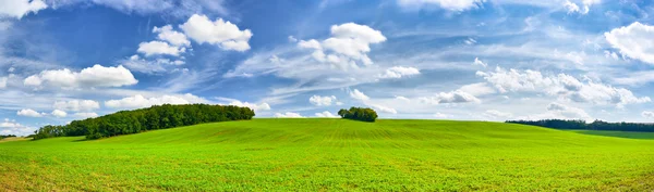 Field and an amazing sky — Stock Photo, Image