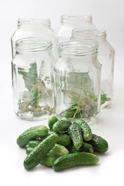 Harvesting and canning cucumbers — Stock Photo, Image