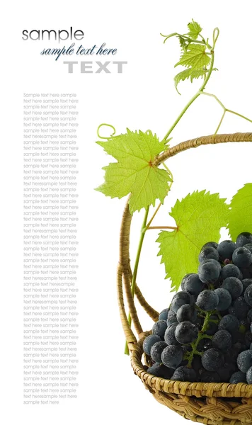Виноград з листям — стокове фото