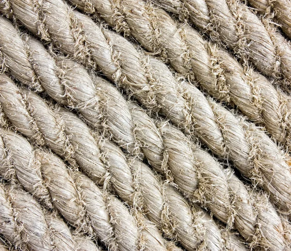 Texture of the ropes — Stok fotoğraf