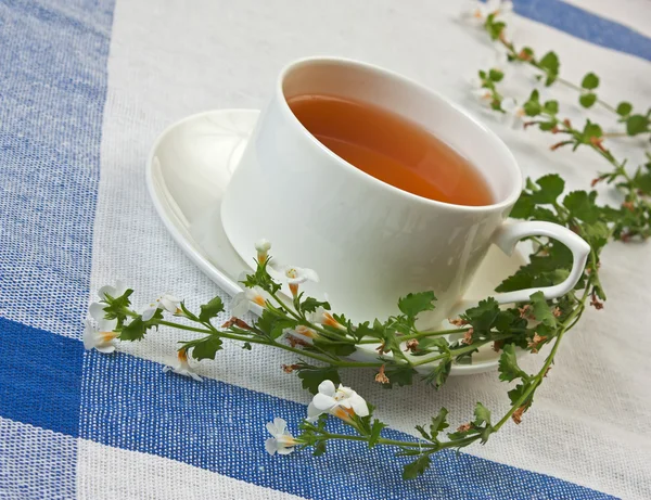 Stock image Morning tea