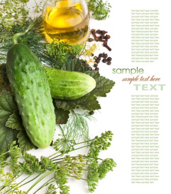 Pickling cucumbers and spices clipart