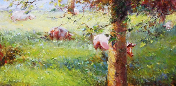 豚の絵画 — ストック写真