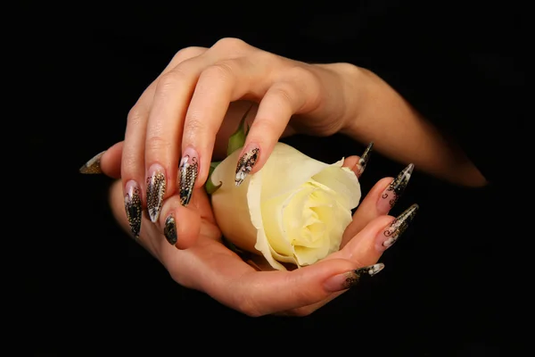 人的手指与长指甲和孤立在黑色的美丽指甲 — 图库照片