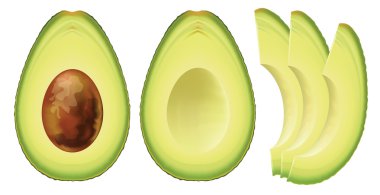 Avocado. clipart