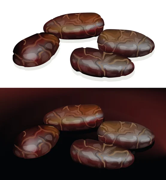Какао-бобы . — стоковый вектор