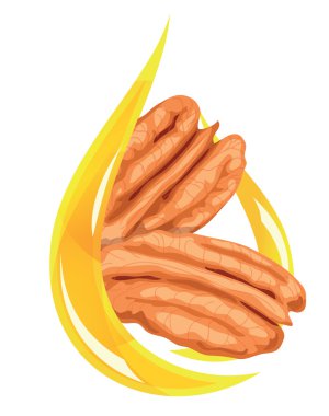 Pecan oil. clipart